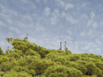 Apartment Appartamento a Villa Montuoro by Wonderful Italy - Outdoor photo 33