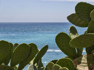 Apartment Appartamento nel centro di Camogli by Wonderful It - Outdoor photo 4