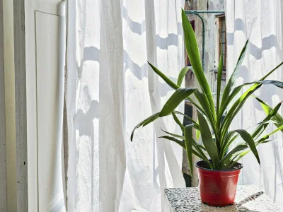 Apartment A pochi passi da Piazza de Ferrari - Outdoor photo 24