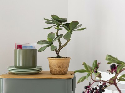 Apartment Deluxe Apartment - Green - Locazione - Outdoor photo 21