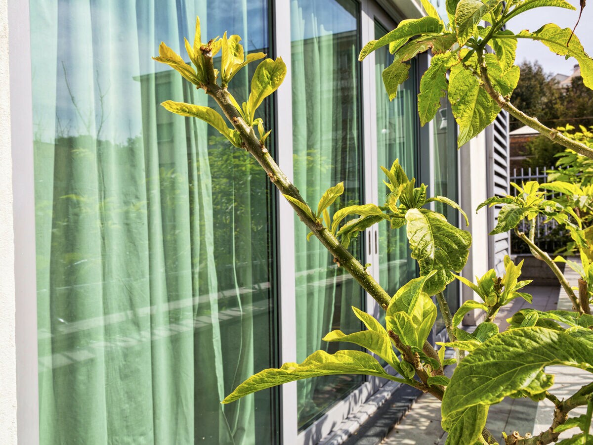 Apartment ViviBoccadasse - Tulipano 38/1 - RS - Outdoor photo 2