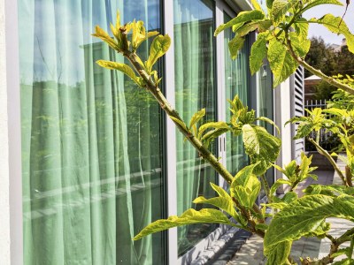 Apartment ViviBoccadasse - Tulipano 38/1 - RS - Outdoor photo 2