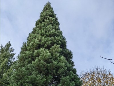 Holiday apartment "Weltwald-Harz II” holiday apartment/home - Environment photo 27