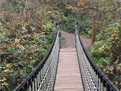 Holiday apartment "Weltwald-Harz II” holiday apartment/home - Environment photo 28