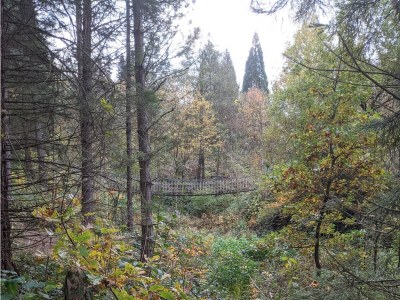 Holiday apartment "Weltwald-Harz II” holiday apartment/home - Environment photo 29