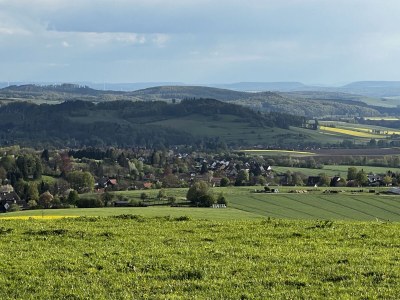 Holiday apartment "Weltwald-Harz II” holiday apartment/home - Environment photo 32