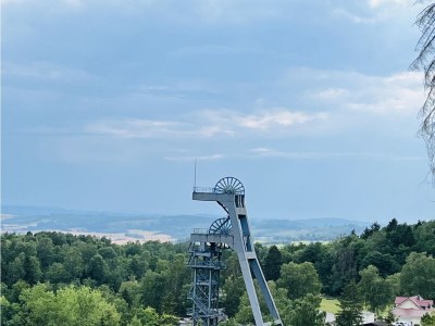Holiday apartment "Weltwald-Harz II” holiday apartment/home - Environment photo 37