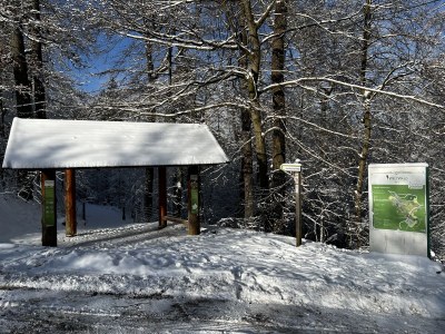 Holiday apartment "Weltwald-Harz II” holiday apartment/home - Environment photo 39