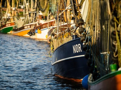 Holiday house Annika - Environment photo 28