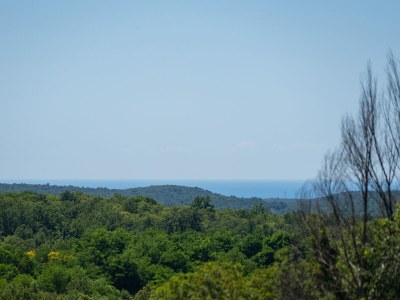 Holiday house Morus - Environment photo 31