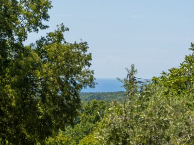 Holiday house Morus - Environment photo 32