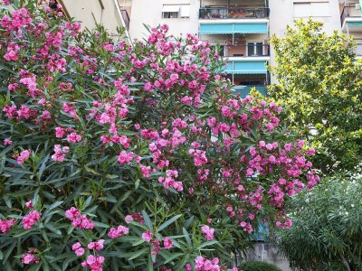 Apartment Golden skyview from San Martino - Outdoor photo 5