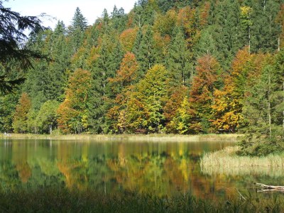 Holiday apartment Nr. 2 Falkensee "Beim Bretzner" - Environment photo 11