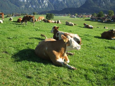 Holiday apartment Nr. 2 Falkensee "Beim Bretzner" - Environment photo 14