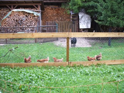 Holiday apartment Nr. 3 Froschsee "Beim Bretzner" - Environment photo 12