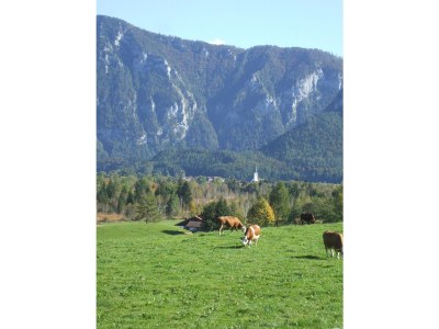 Holiday apartment Nr. 3 Froschsee "Beim Bretzner" - Environment photo 15