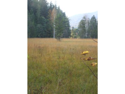 Holiday apartment Nr. 3 Froschsee "Beim Bretzner" - Environment photo 16