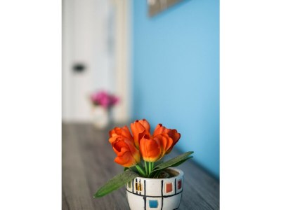 Apartment Milazzo 5 - Appartamento vicino al Parco della Mon - Features photo 18