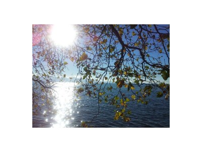 Holiday house Toussaint 4 - Outdoor photo 11