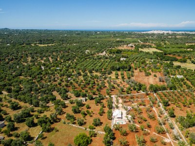 Villa Trullo Cecapesce con piscina - UTNZ - Environment photo 33