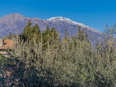 Apartment Ca' Maria Lavanda - RS - Environment photo 22