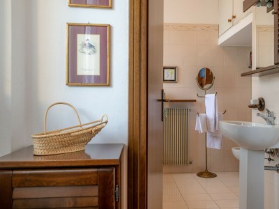 Apartment Swan Lake - Features photo 20