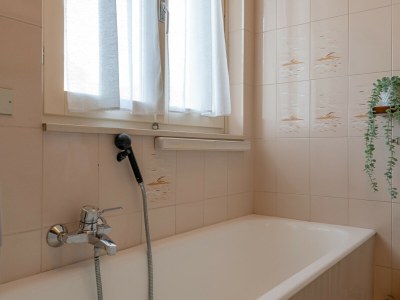 Apartment Swan Lake - Features photo 21