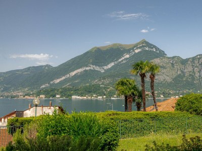 Apartment Swan Lake - Environment photo 32