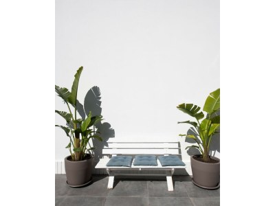 Villa Seaview Villa In Mongerbino - Outdoor photo 29