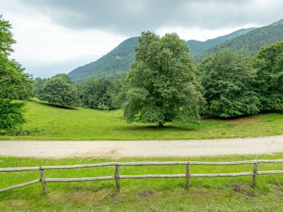 Holiday house Il Salice - P.IVA - Environment photo 48