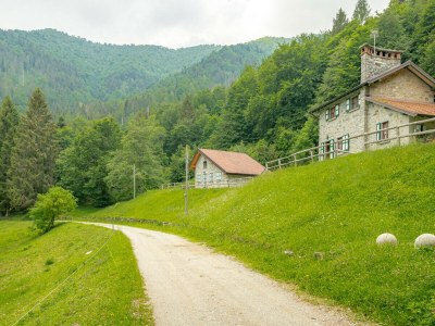 Holiday house Il Salice - P.IVA - Environment photo 55