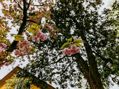 Apartment Strada Maggiore 59 - Casa Ambrosini  Afrodite - Outdoor photo 8