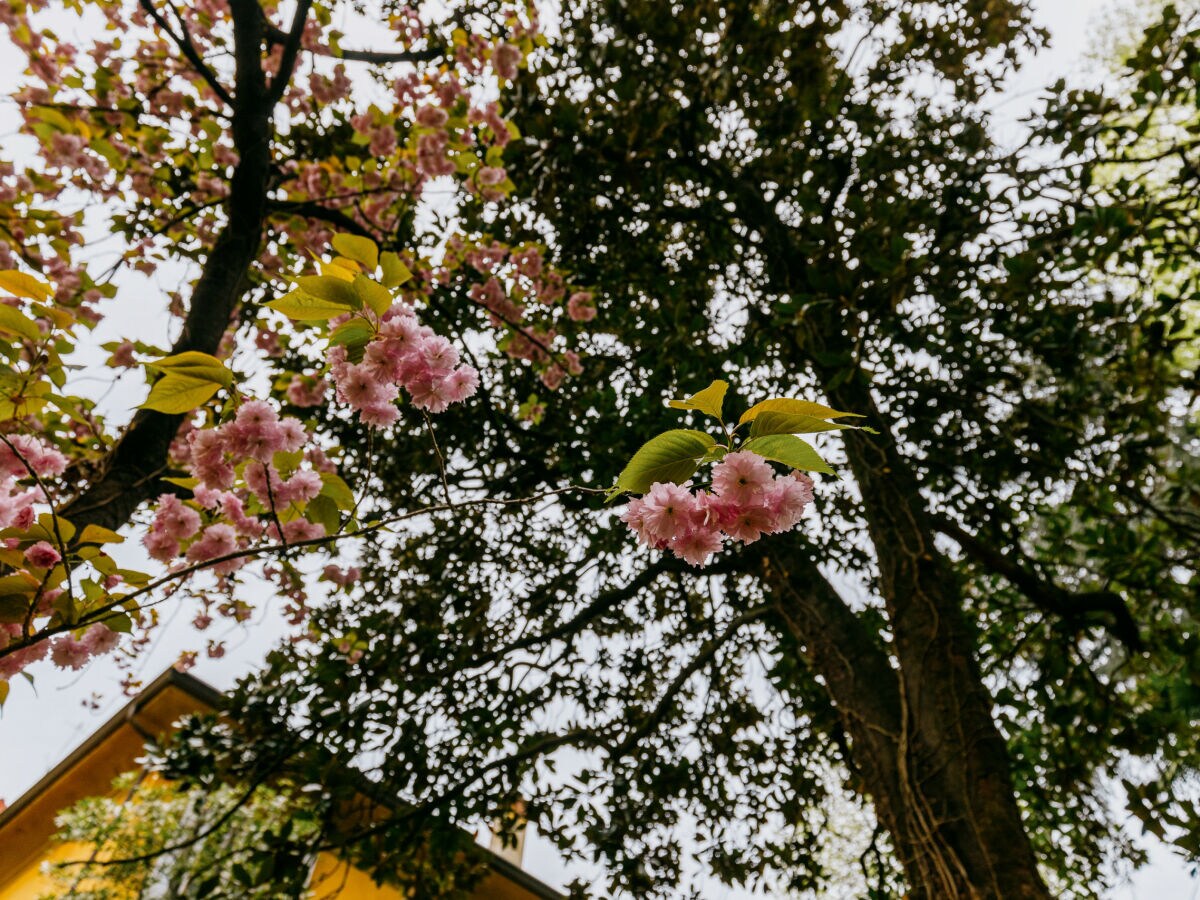 Apartment Strada Maggiore 59 - Casa Ambrosini - Atena - Outdoor photo 3
