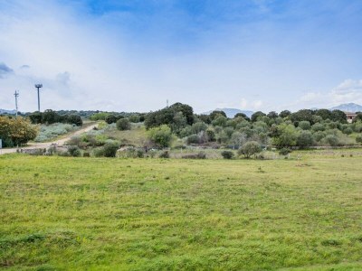 Holiday house Casa a Telti - Environment photo 21