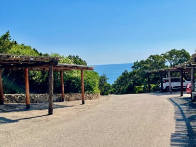 Apartment Casa Lilly - Outdoor photo 6