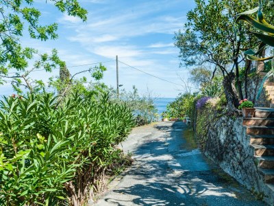 Apartment Casetta Amelia with Seaview - Outdoor photo 7
