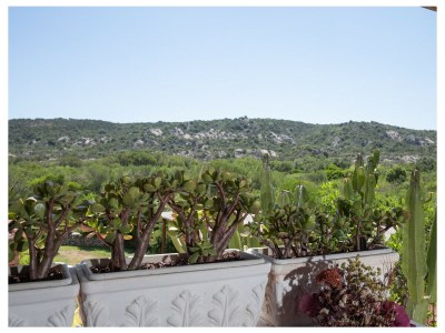 Apartment Casa del Sarto - UTNZ - Environment photo 18