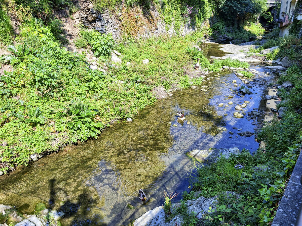 Apartment Comfy and Quiet in Camogli - Outdoor photo 4