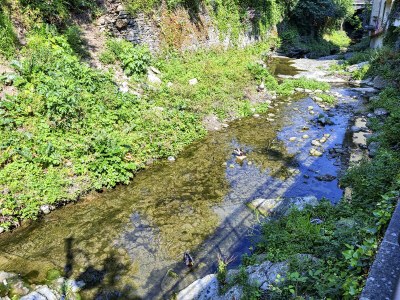 Apartment Comfy and Quiet in Camogli - Outdoor photo 4