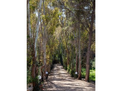 Villa Villa La Fenice with Private Access to the Sea - Outdoor photo 3