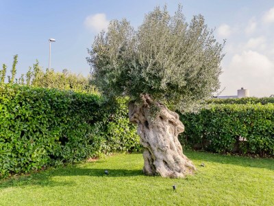 Villa Villa Incanto nel Blu - RS - Environment photo 55