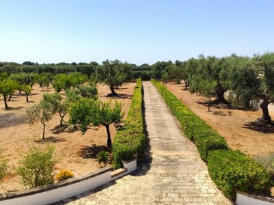 Villa Villa Gabriella - Environment photo 36