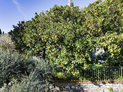 Apartment Seaview Apartment with Garden in Recco - Outdoor photo 5