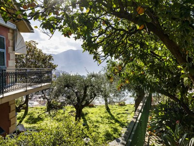 Apartment Seaview Apartment with Garden in Recco - Environment photo 24