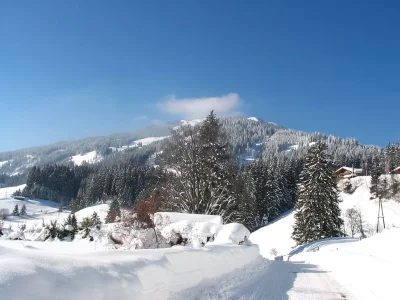 Holiday apartment On the organic farm Stallfeld - Environment photo 14