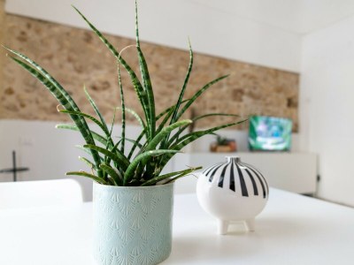 Apartment Dimora Netina - Outdoor photo 28