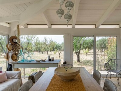 Villa Trullo Letizia con piscina - IBR - Features photo 20