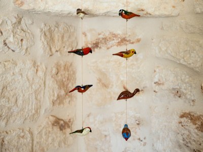 Villa Trullo Letizia con piscina - IBR - Outdoor photo 43