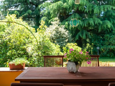 Holiday house Villetta Camelia with Garden - Environment photo 37