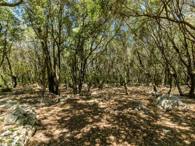 Holiday house Villetta Foragno con giardino - CM - Environment photo 35